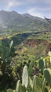 GC-Mirador El Helechal 2026-09.jpg